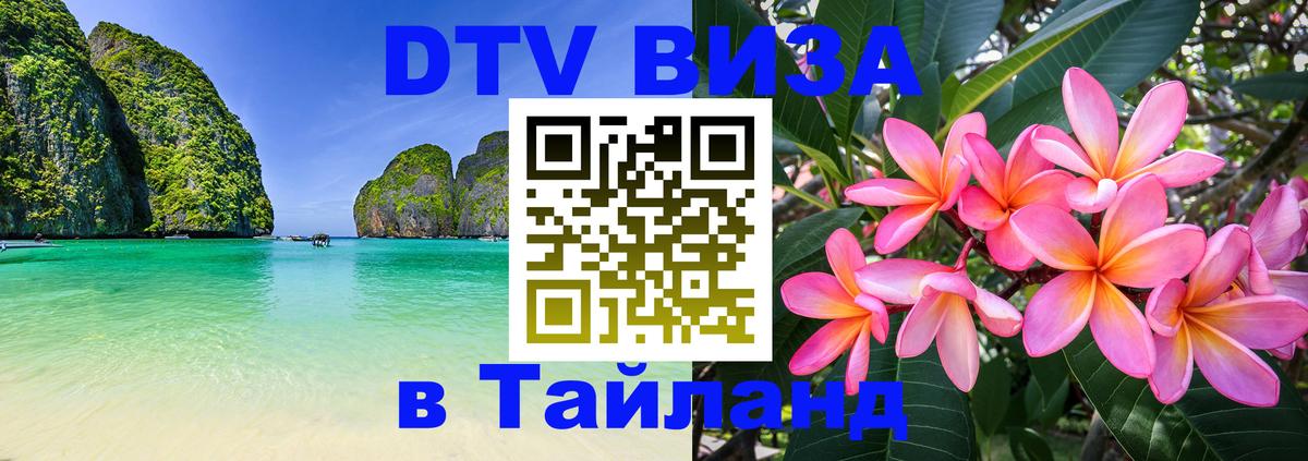 Оформление DTV визы под ключ: стоимость и тарифы, только загранпаспорт - Махачкала  03.10.2025 